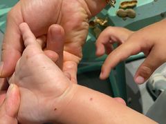 -一品烧农庄·佛山本地特色菜