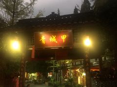 -青城甲(青城山店)