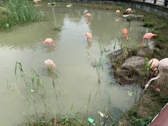 -苏州上方山国家森林公园