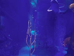 -沈阳海洋探索中心