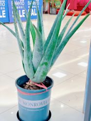 -理肤印象·个人皮肤管理中心