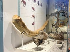 -国家自然博物馆