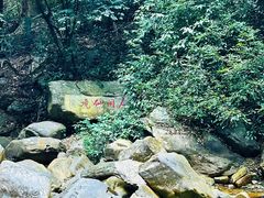-鼎湖山风景区