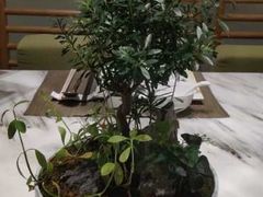 -御仙都北京菜馆·烤鸭店(双井店)
