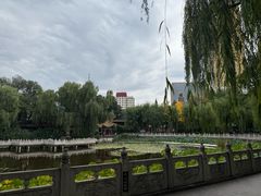 -文瀛公园