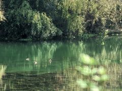 -贵阳市花溪国家城市湿地公园