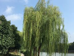 -常州环球恐龙城维景国际大酒店