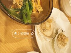 -西安国际创新人才交流中心•药浴温泉