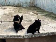 -大连森林动物园