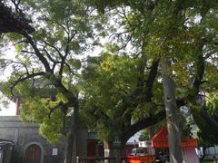 -洛阳周公庙博物馆