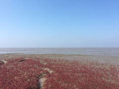 -红海滩国家风景廊道