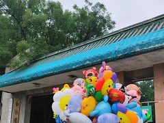 -保定市动物园