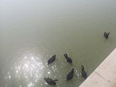 -天津东丽湖风景区