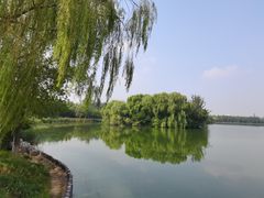 -大兴滨河森林公园