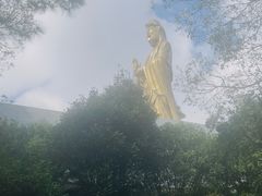 -枣子树·素食餐厅(朱家尖店)