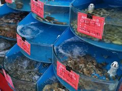 -北戴河庆山饭店·海鲜砂锅粥(北戴河黑石路店)