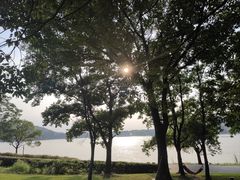 -上海月湖雕塑公园