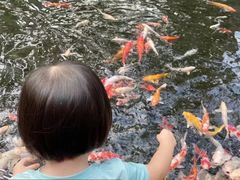 -Waterfall瀑布湾优健源(华侨城店)