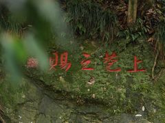 -十八棵（老龙井）御茶园(老龙井店)