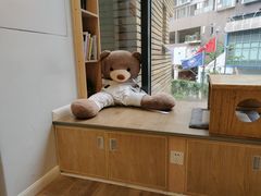 -少年超人空手道馆(优品道中心)