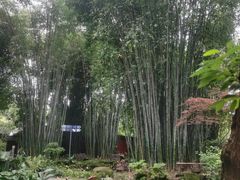-望江楼公园