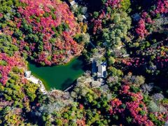 -九如山休闲旅游度假区