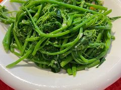 佛手瓜苗-粤北餐馆