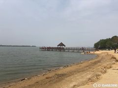 -瑶湖郊野森林公园