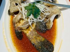 老虎斑-一麦·龙岛(上海青浦店)