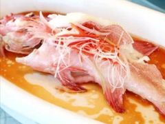 -上海明天广场JW万豪酒店