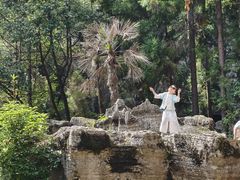 -梭布垭石林景区