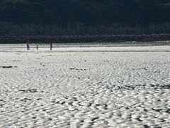 -北岐滩涂