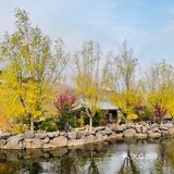 秋水共长天一色