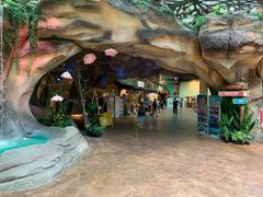 -杭州开元森泊度假乐园