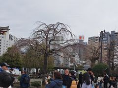 -浅草寺