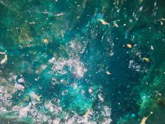 景点-蝴蝶泉公园