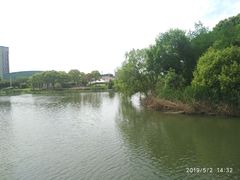 -新江湾城公园