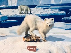 -陕西自然博物馆