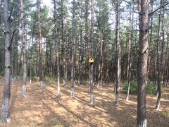 -帽儿山国家森林公园