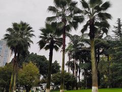 -龙头寺公园