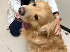 -美联众合动物医院·24h京西诊疗中心
