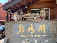 -马六甲鸡场街