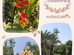 -西双版纳融创皇冠假日度假酒店