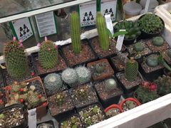 -双季花艺园艺市场(浦东店)