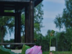 -长春北湖公园