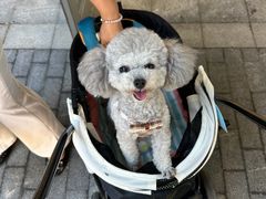 -中粮·祥云小镇