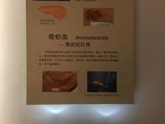 -辽宁古生物博物馆