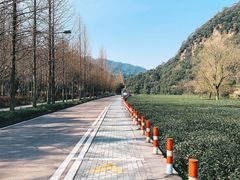 -礼耕堂·百年茶人餐厅(梅家坞店)