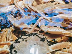 -驻海渔市(置信店)