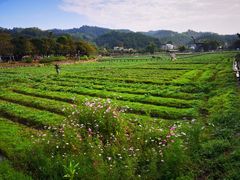 -红山村